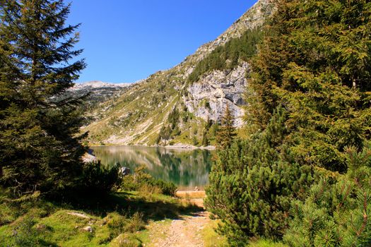 View of krnsko lake in the summer, Slovenia - Europe