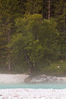 The fog on the Soca river, Slovenian Julian Alps