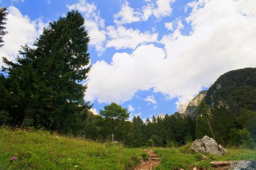 View of Slovenian Julian Alps in the summer