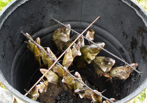 freshly salted bream tench roach fish hanging in handmade smoke house prepared for cooking.