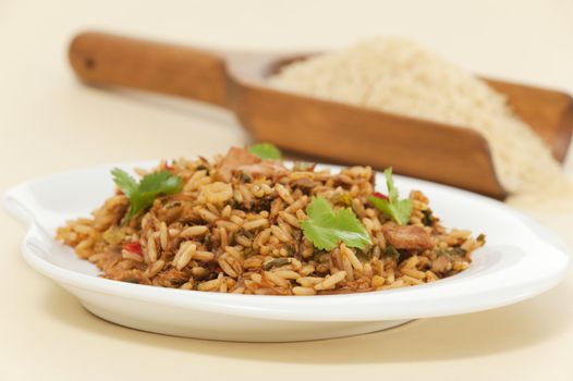 Traditional Central American dish of rice with chicken or arroz con pollo.
