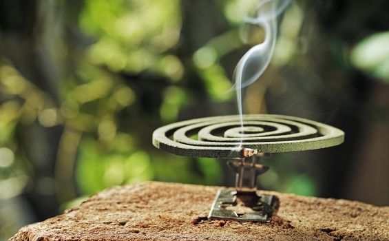 Green spiral insect repellent mosquito coil incense smoking.