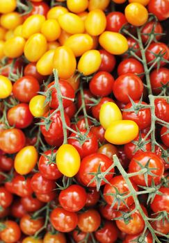 Different tomatoes; yellow plum tomatoes and 