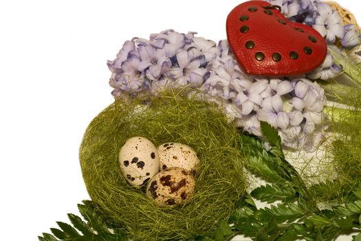 Easter eggs  in nest and blue hyacinth on white backgrownd