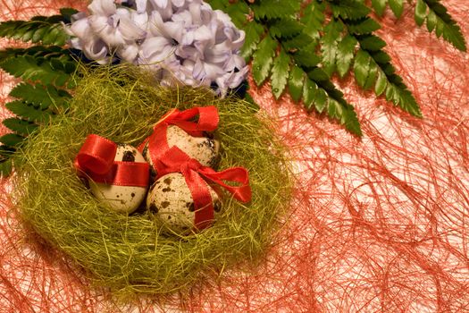 Easter eggs with red ribbon in nest and blue hyacinth on red backgrownd