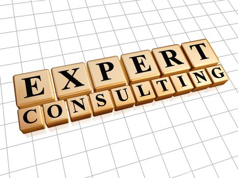expert consulting - text in 3d golden cubes with black letters, business concept