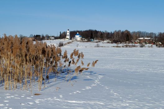  Winter rural landscape with frozen river and dry reeds on the shore, sunny day