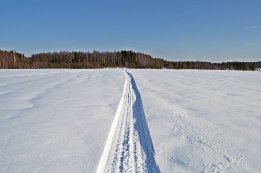 Snowmobile track across the snowy field toward the woods, winter sunny day