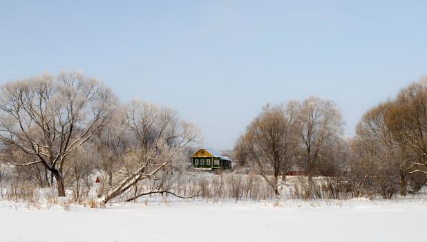Snow-covered bare trees and a village on the frozen lake shore