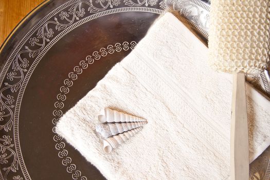 Luxury bath or shower set with towel, brush and shells on silver scale