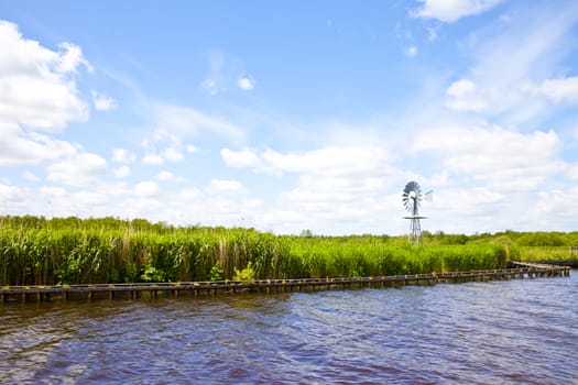 Beautiful Dutch landscape with high grass and little mill with blue sky