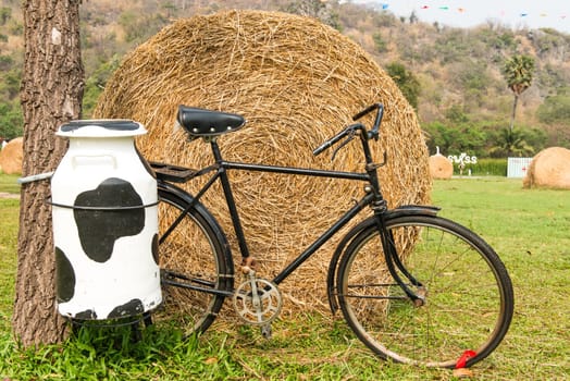 A black milk man bicycle with steel milk container at the back, taken outdoor on sunny day