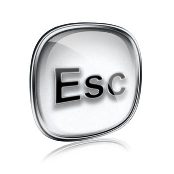 Esc icon grey glass, isolated on white background