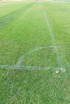 Traditional green grass soccer field with white chalk line, taken on a sunny day