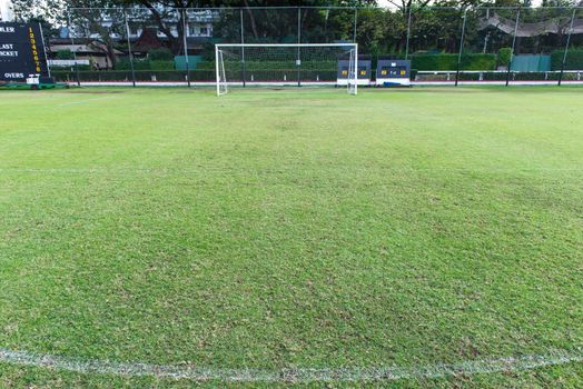 Traditional green grass soccer field with white chalk line, taken on a sunny day