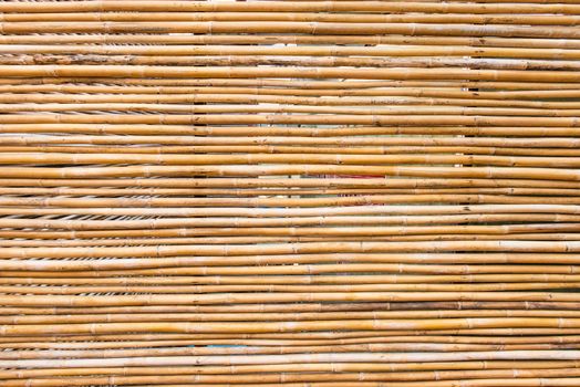 Light brown thin bamboo stick background, isolated