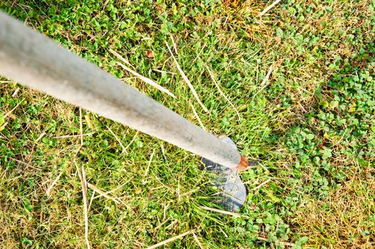 Garden hoe
