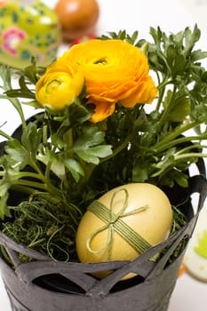 Easter egg and yellow buttercup in a metallic flowerpot