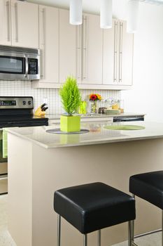 Modern kitchen interior with island and natural stone countertop