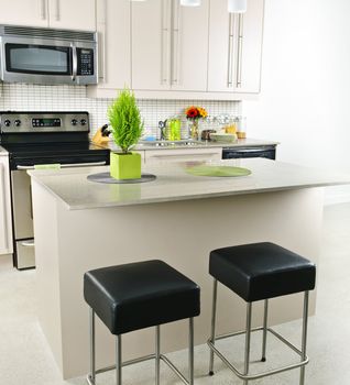 Modern kitchen interior with island and natural stone countertop