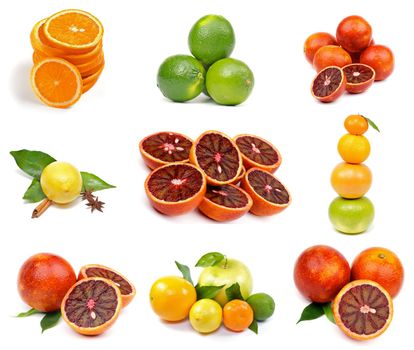 Citrus Collection with Oranges, Lime, Blood Oranges, Lemon, Grapefruit, Pummel and Tangerine isolated on white background