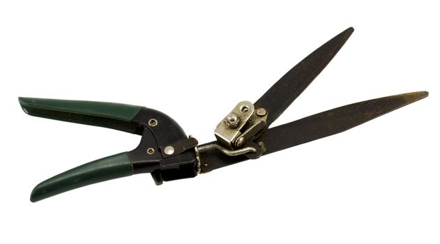 garden hedge trimmers clippers tool with plastic handle isolated on white background