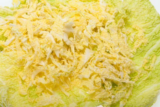 fresh savoy cabbage  isolated on white background