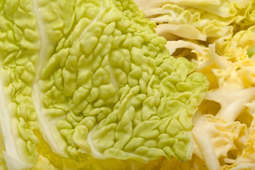 fresh savoy cabbage  isolated on white background
