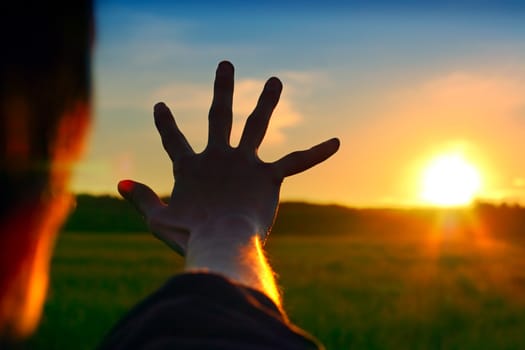 Silhouette of a Hand against a Sunset in the Summer Field