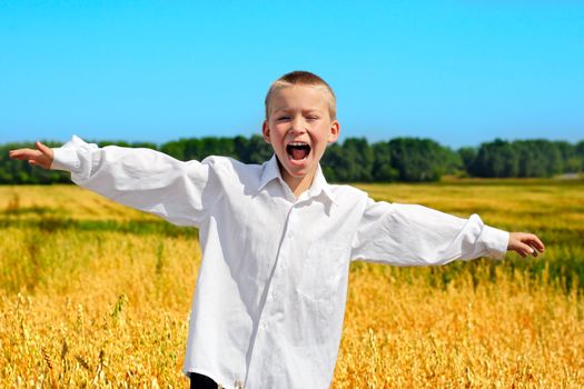 Happy Boy in white shirt at the summer wheat field