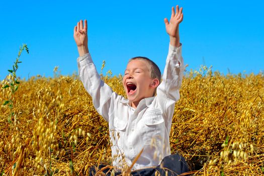 Happy Boy with Hands Up in The Summer Wheat Field