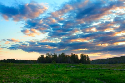 Beautiful summer evening landscape in the fields