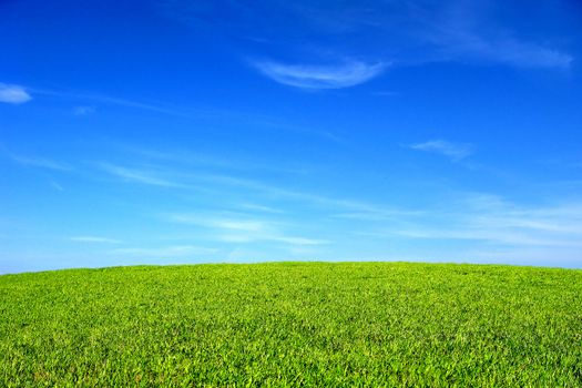Beautiful summer landscape with green field and blue sky