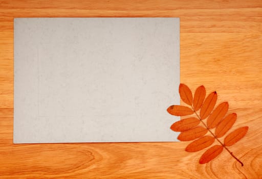 Empty Paper and Autumnal Leaf On Wooden Background
