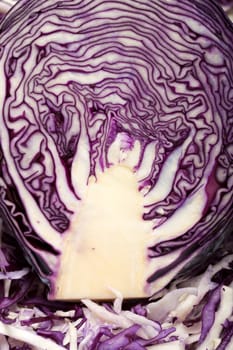 White and Red  Cabbage