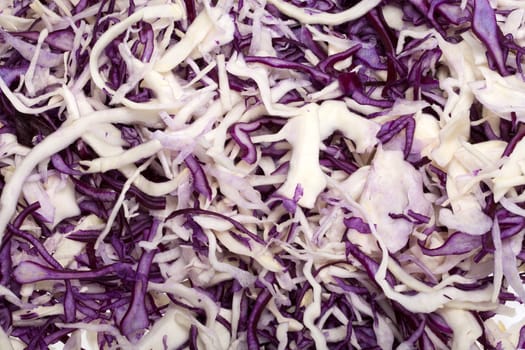 White and Red  Cabbage