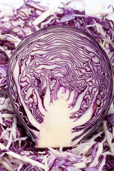 White and Red  Cabbage