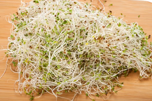 The healthy diet. Fresh sprouts isolated on white background 