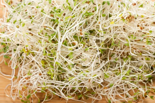 The healthy diet. Fresh sprouts isolated on white background 