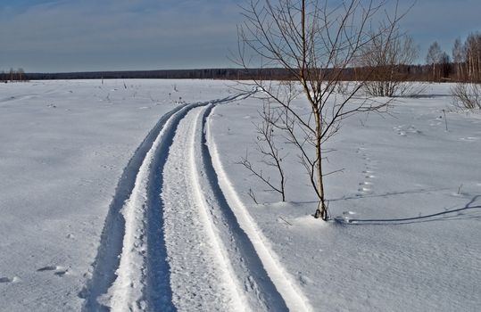 Snowmobile trail in the field on forest background, winter sunny day