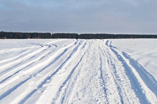 Snowmobile track across the snowy field toward the woods, winter sunny day