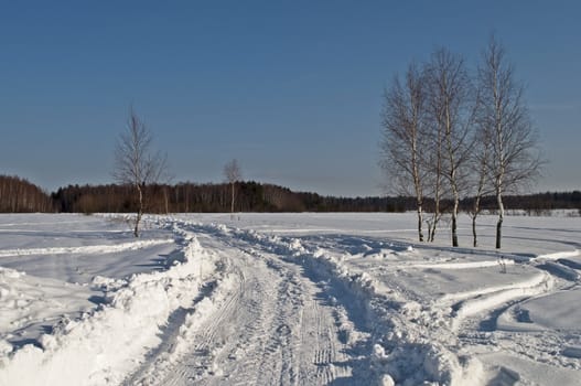 The road in snow on forest background, winter sunny day