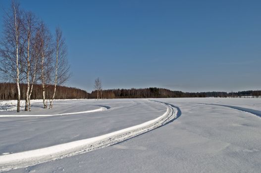 Snow-covered field with snowmobile tracks, winter sunny day