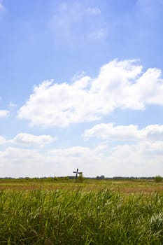 Beautiful Dutch landscape with high grass and little mill with blue sky