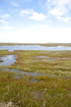 View at unique Slufter nature where salt water meets grass on island Texel, the Netherlands