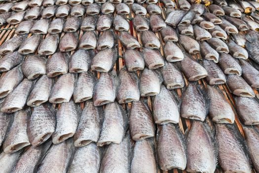 Dry Gourami fish, in a circle on bamboo plate