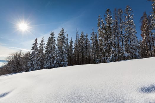 Image of Carpathian mountains in winter