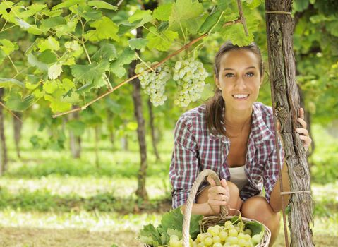 Young peasant woman in the vineyard