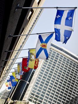 The provincial and territorial flags of Canada waving in Ottawa.