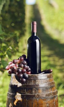 bottle of red wine on an old barrel in a vineyard